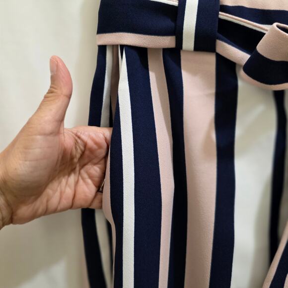 Express Ankle High Rise Striped Paperbag Pockets Sash Tie Pants, Size 6 Regular - Picture 2 of 6